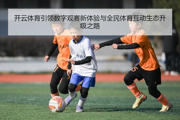 开云体育引领数字观赛新体验与全民体育互动生态升级之路